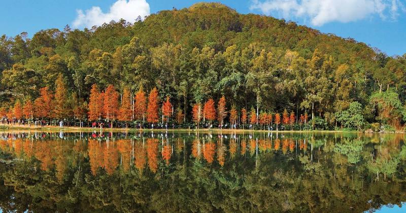 Façades de gratte-ciel modernes à Hong Kong, reflétant le ciel et l'eau