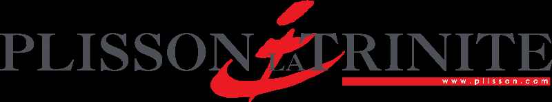 Artiste français créant une sculpture marine inspirée par le thème du bateau