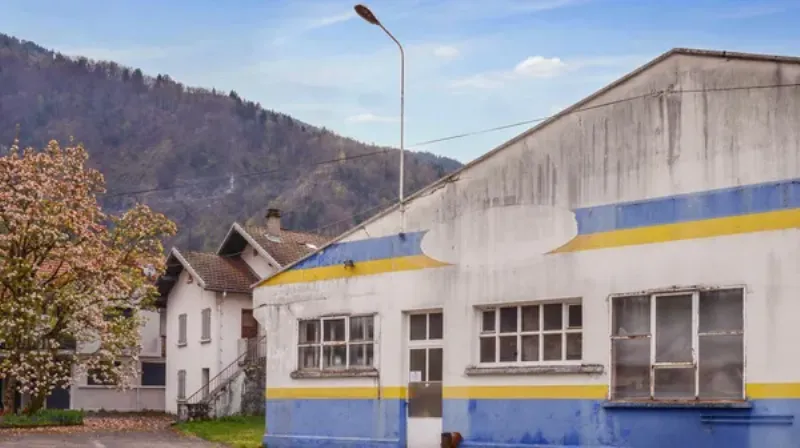 Atelier de création de sculpture papier mâché, une activité communautaire inspirante pour adultes et enfants