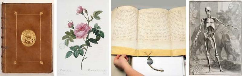 Anciens manuscrits et livres des classiques de la littérature dans une bibliothèque historique