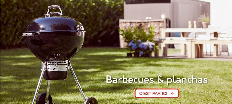 Cabane en bois colorée dans un jardin français avec des fleurs et des arbustes