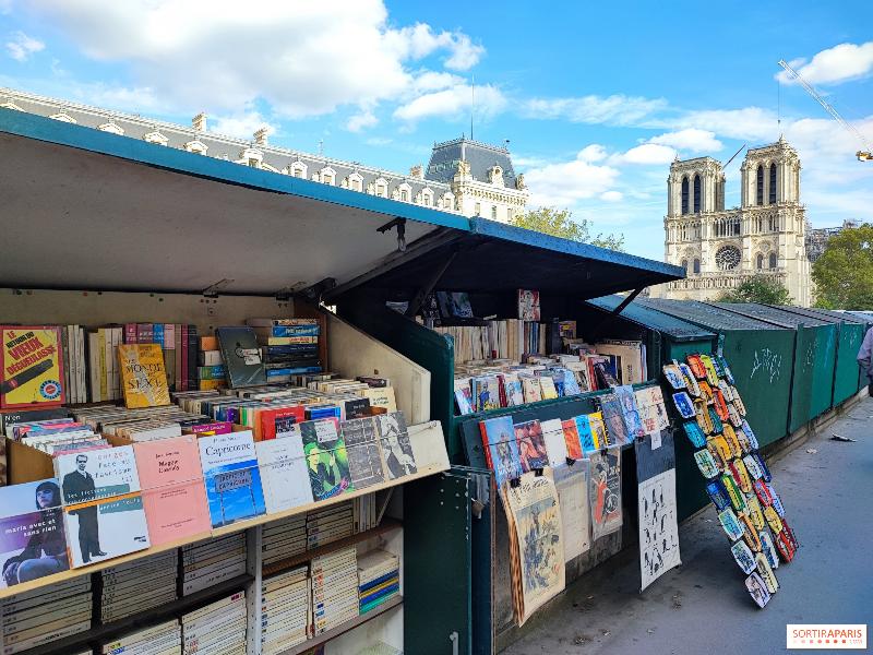 Vue emblématique de la Cathédrale Notre-Dame de Paris depuis la Seine, avec les bouquinistes, un tableau parisien intemporel