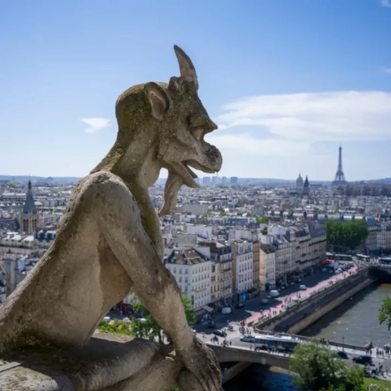 Chimères et gargouilles de Notre-Dame de Paris en cours de restauration