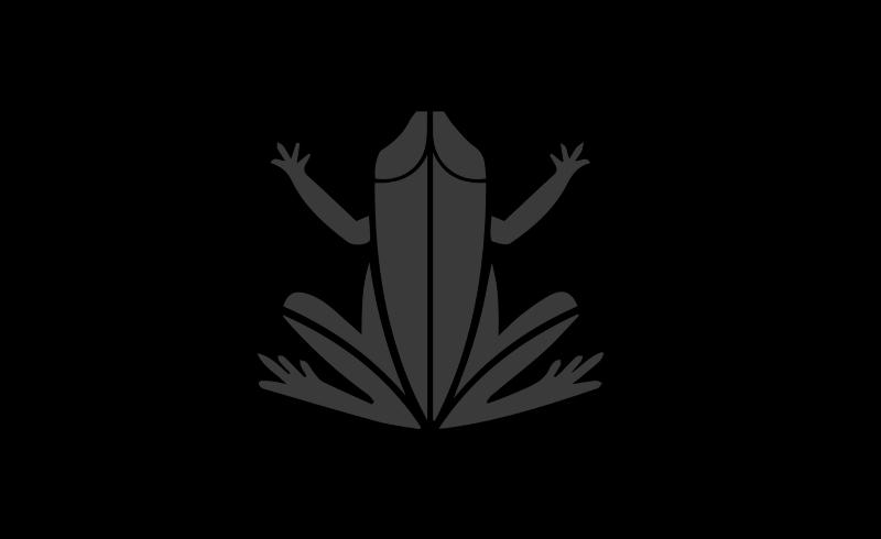 DVD Notre Dame de Paris de la production originale de 1998, capturant la magie et l'énergie des débuts de la comédie musicale.