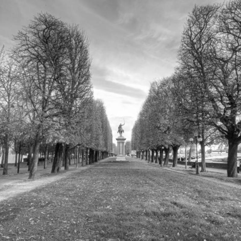Un homme lisant un roman de littérature contemporaine américaine dans un café parisien