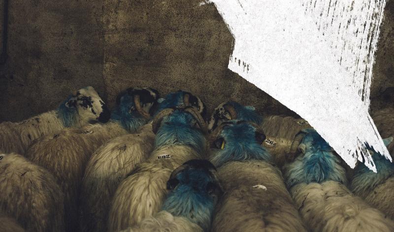 Jeune acteur jouant Scapin dans Les Fourberies de Scapin