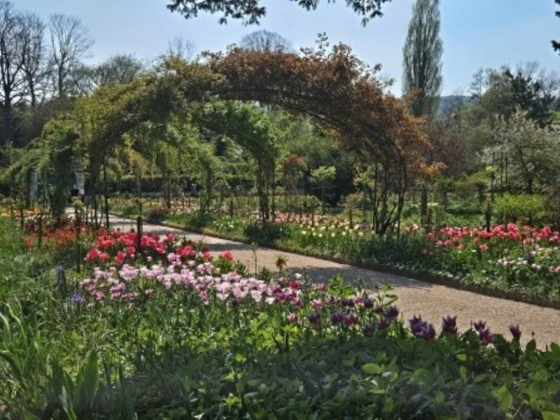 Une réception de mariage française élégante avec des tables superbement dressées et de la gastronomie raffinée, après s'être marier à Notre Dame de Paris