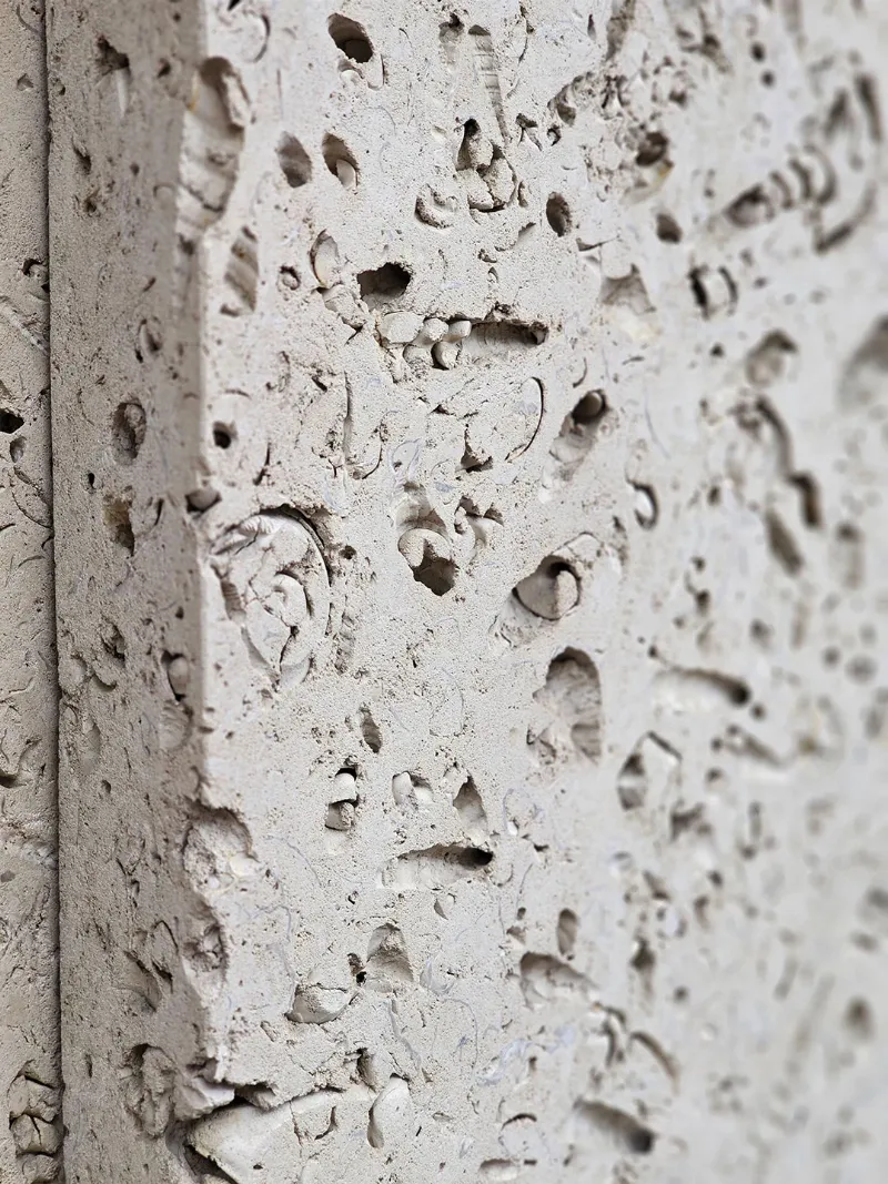 Diversité des matériaux utilisés dans l'architecture irlandaise moderne avec pierre, verre et bois