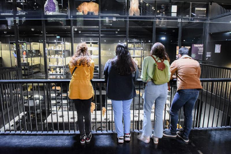 Salle de recherche et collections secrètes d'un musée des sciences naturelles