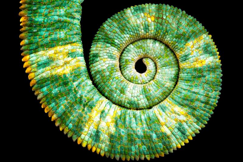 Le Nombre d'Or en Architecture Moderne : Principes de Design et Harmonie Esthétique