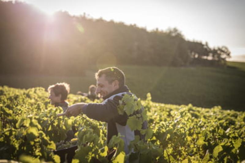 Notre Dame de Paris spectacle artistes techniciens preparation scene lumiere emotion