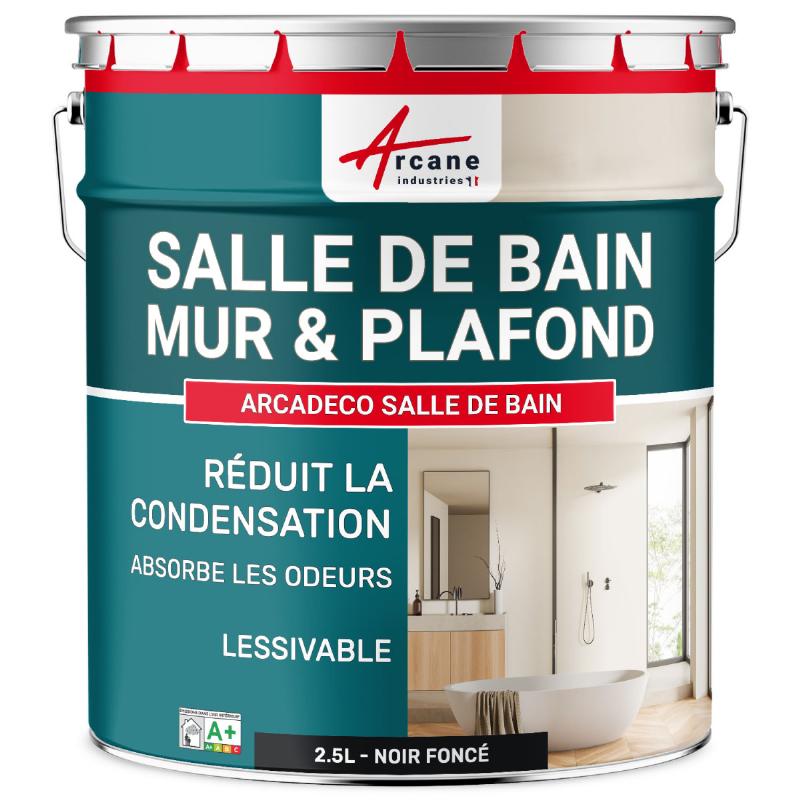 Intérieur de salle de bain française élégante avec peinture anti humidité