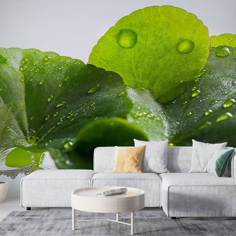 Un salon français moderne avec une touche de peinture vert tropical, créant une ambiance élégante et exotique