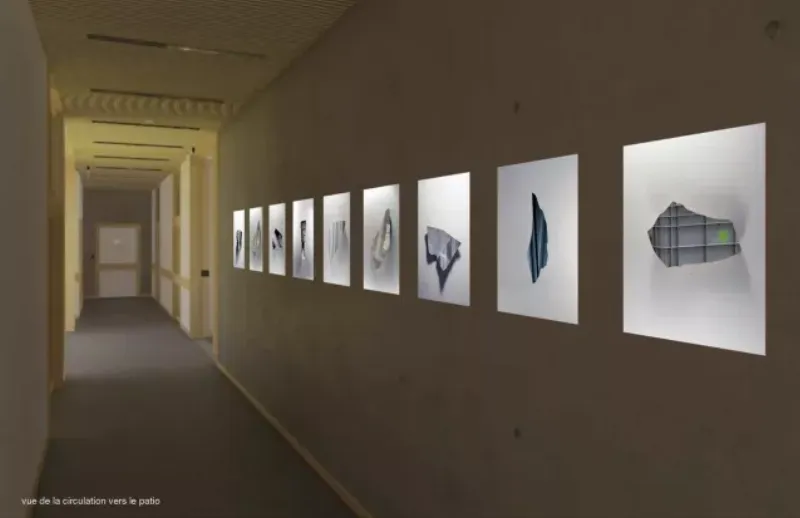 Esthétique du flou chez Philippe Cognée, interrogeant l'identité et la perception en peinture