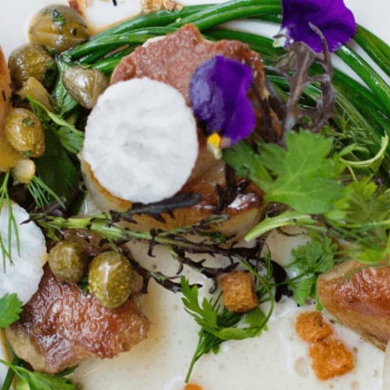 Plats français gastronomiques décorés avec de la peinture aux algues, élégance culinaire