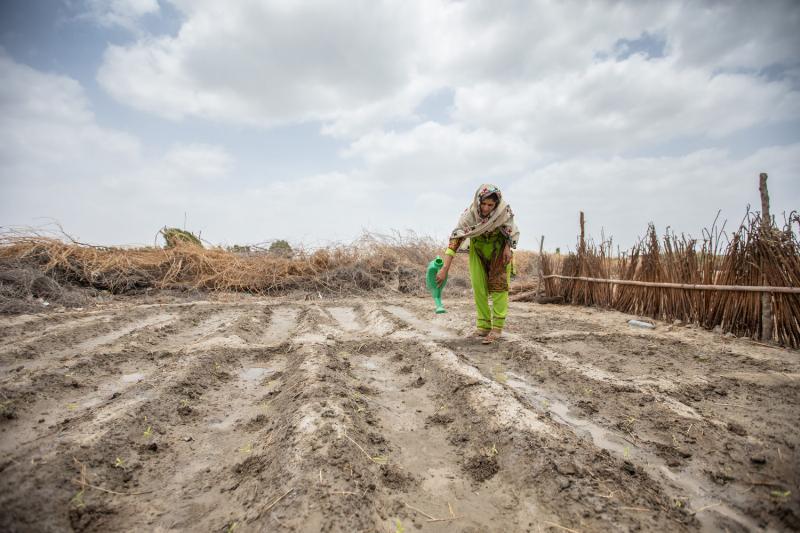 Le poème Les Pauvres Gens : une réflexion sur la société contemporaine et ses défis.
