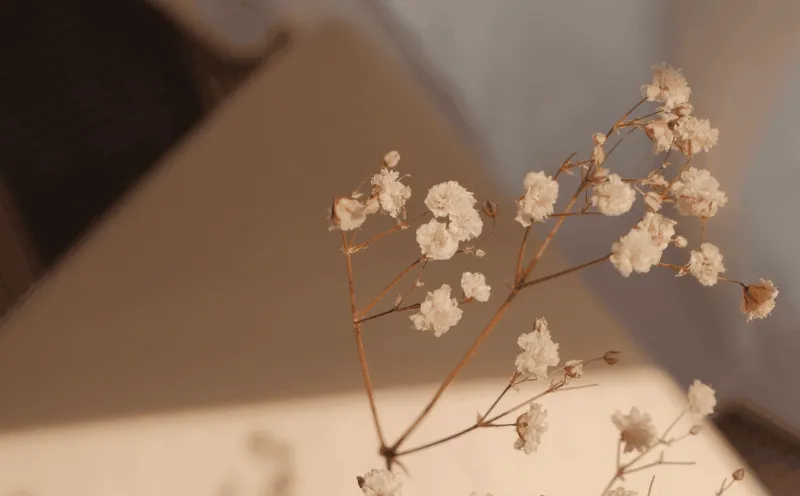 Projet de peinture intérieure réussi avec élégance française et couleurs sophistiquées