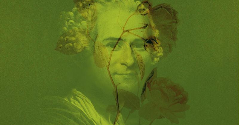 Jean-Jacques Rousseau et la pensée des Lumières : Une figure clé parmi les livres classiques de la littérature française