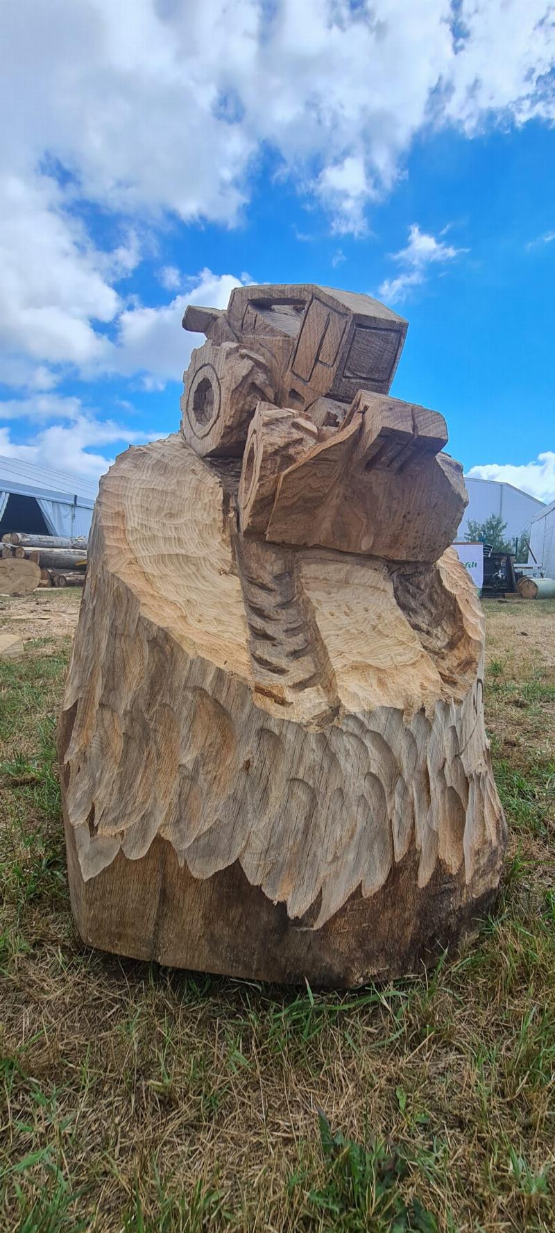 Sculpture d'un ours en bois réalisée à la tronçonneuse dans un environnement naturel