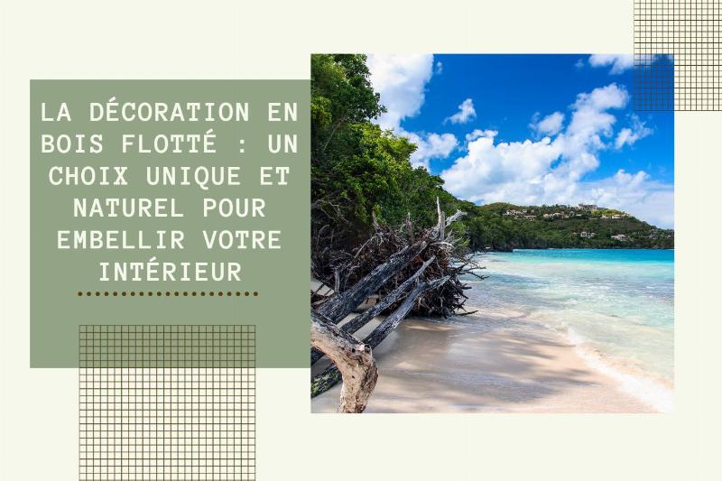 Variété de sculptures chouettes bois, exposées sur une étagère en bois, différents styles et essences de bois