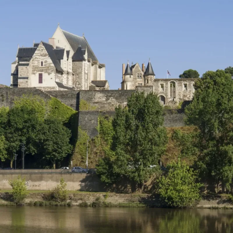 Statue de lion majestueux en pierre dans un jardin à la française de la Renaissance