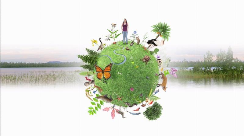 Ville durable avec architecture intégrée à la végétation française, toits verts, jardins verticaux