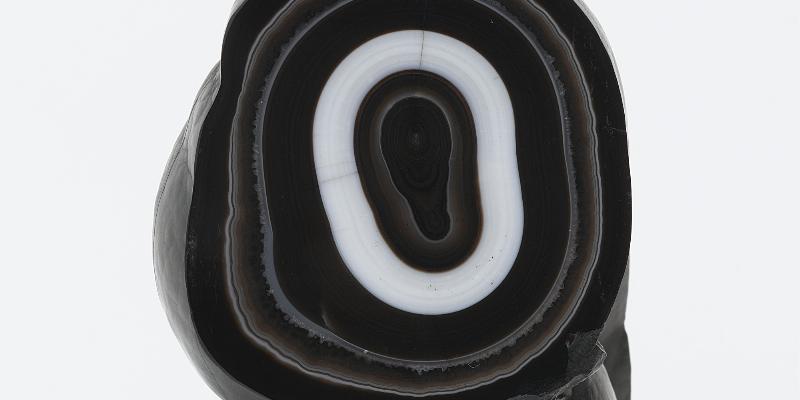 Portrait d'Alfred Pellan dans sa jeunesse, artiste visionnaire