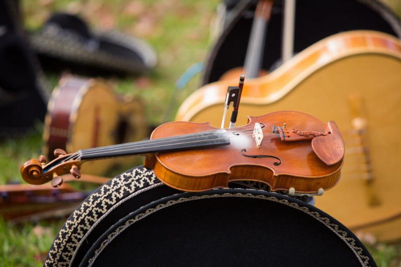 Ambiance animée d'un bal musette traditionnel, cœur de la culture musicale française.