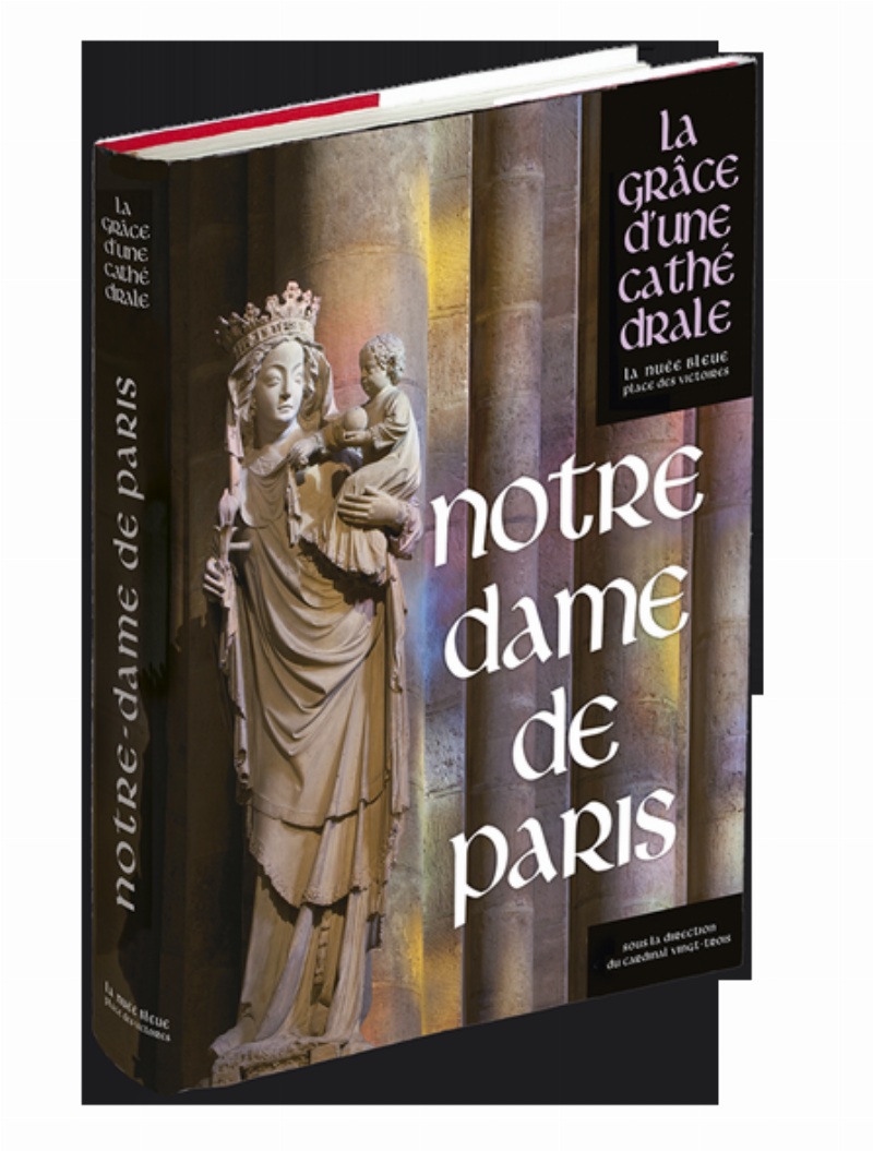 Ancienne édition illustrée du livre de Notre Dame de Paris avec une reliure ouvragée