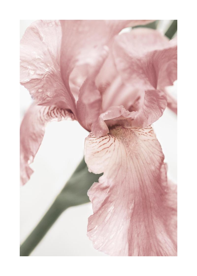 Ancienne statue femme en plâtre, gros plan sur la texture