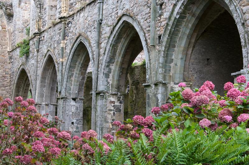 L'arc brisé, ou ogive, élément clé de l'architecture gothique française, permettant des voûtes plus hautes et stables.
