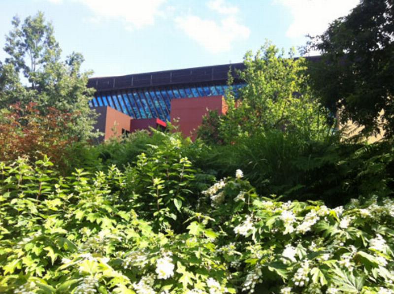 Façade végétale du Musée du Quai Branly, architecture contemporaine à Paris
