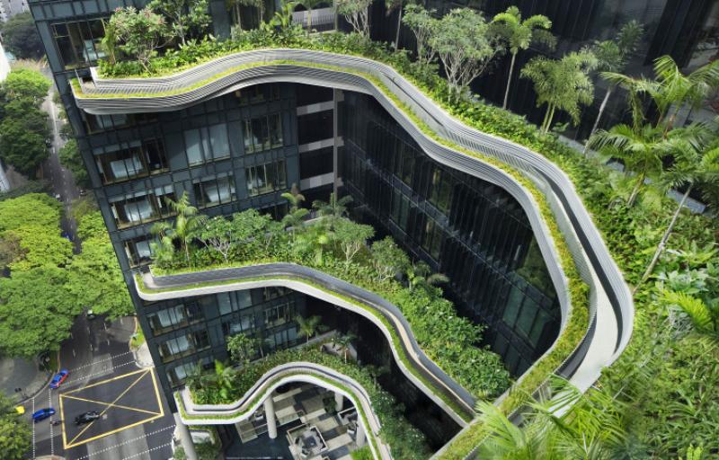 Bâtiments durables et innovants à Stockholm avec toits végétalisés et façades modernes