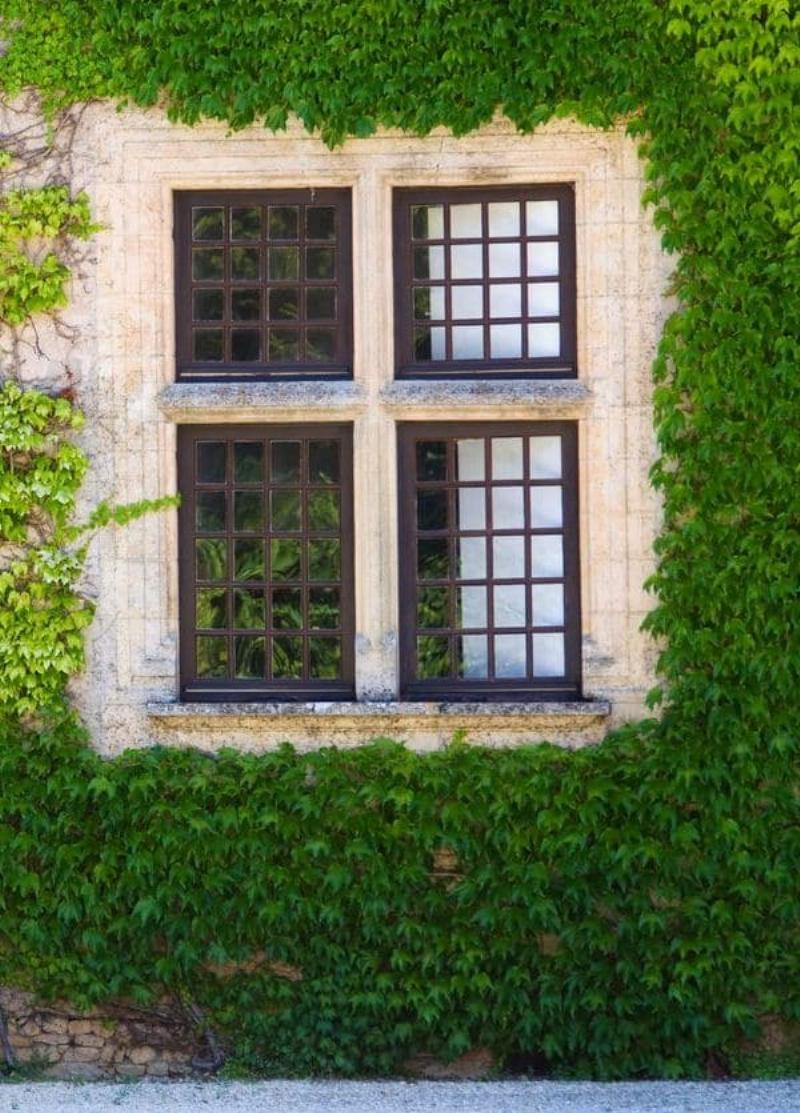 Façade vitrée contemporaine d'inspiration gothique moderne