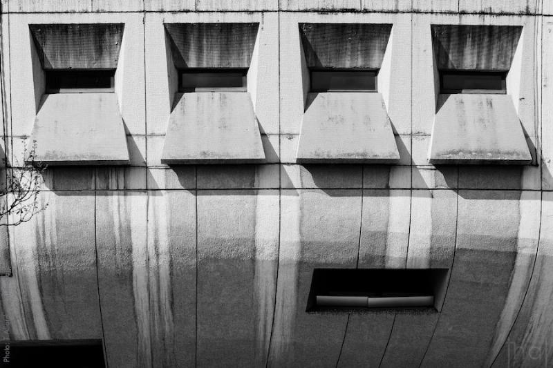 Vue intérieure de l'Auditorium de Lyon lors d'un concert de musique classique