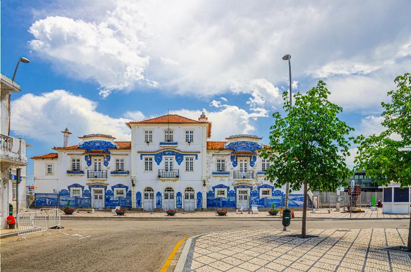 Magnifiques azulejos bleus et blancs, emblèmes de la peinture portugaise baroque