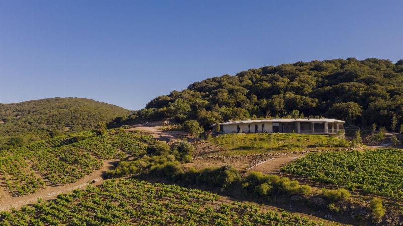 Cave vinicole moderne et durable utilisant des matériaux locaux et design éco-responsable