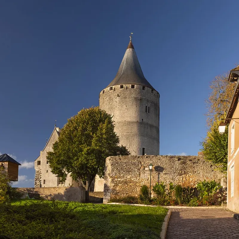 Architecture et éléments défensifs d'un château gothique en France