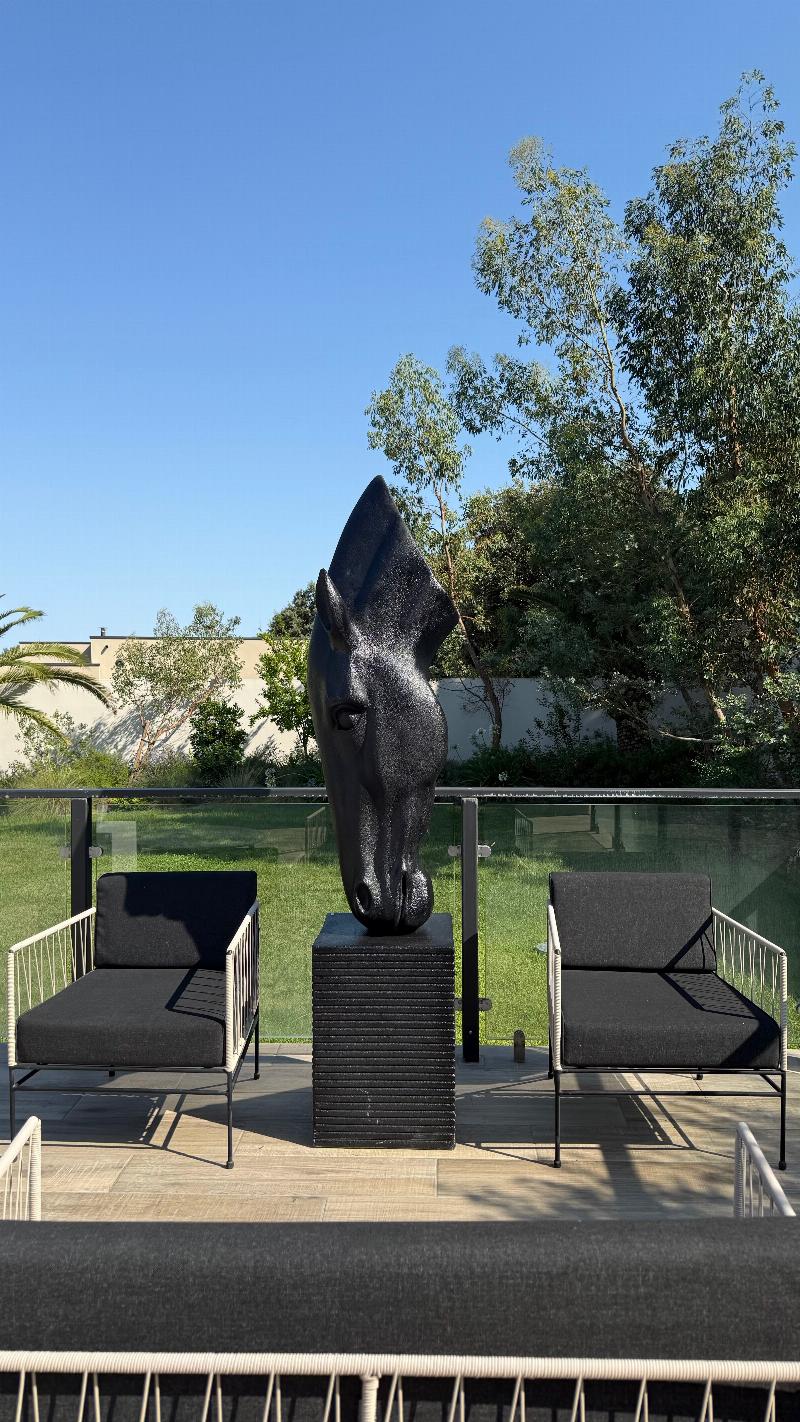 Statue cheval bronze classique jardin francais art equestre elegance