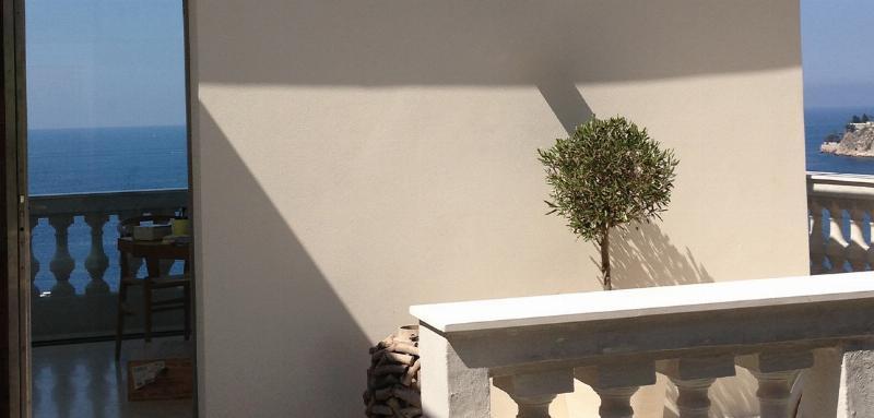 Conseils pour choisir la meilleure peinture façade couleur