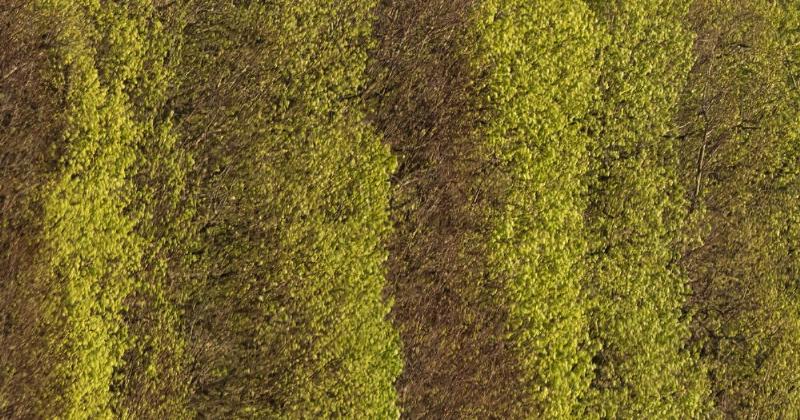 Un groupe de visiteurs pique-niquant dans le parc du Château de Versailles, avec le Château en arrière-plan