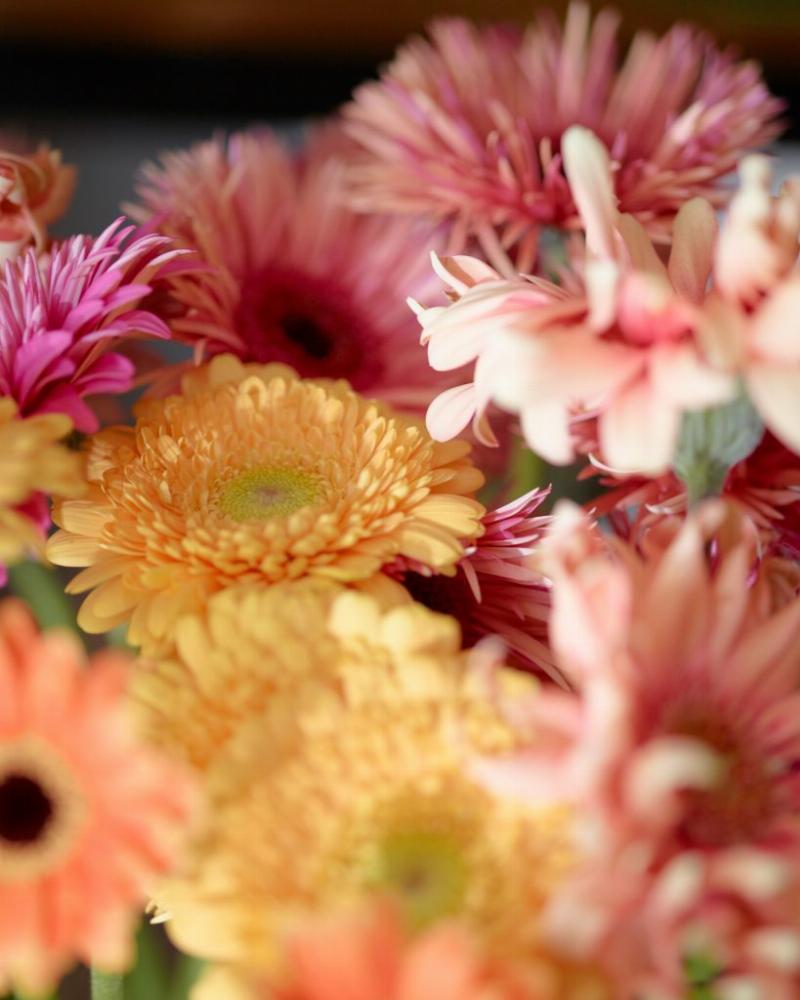 Illustration d'un couple mythique de la littérature française symbolisant l'amour romantique et la passion éternelle