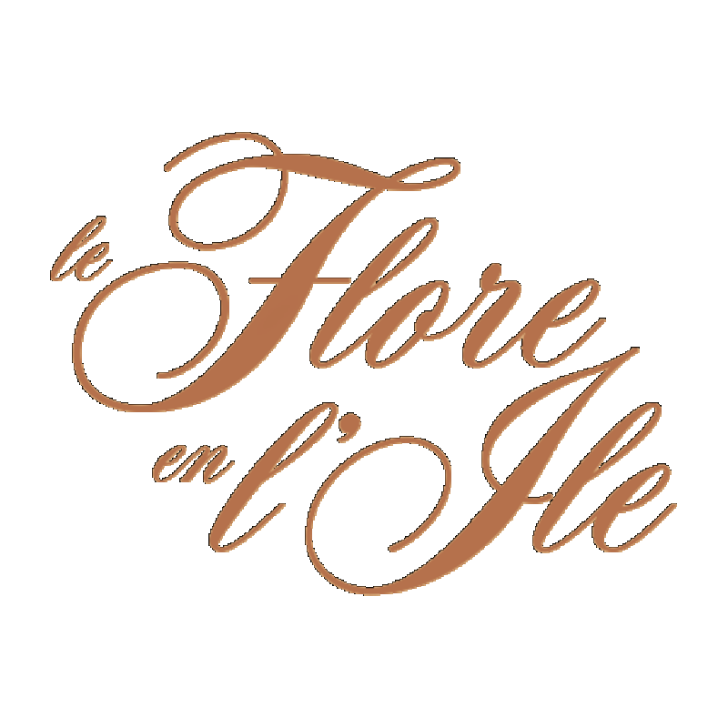 Plat de cuisine française traditionnelle servi près de Notre-Dame, Paris