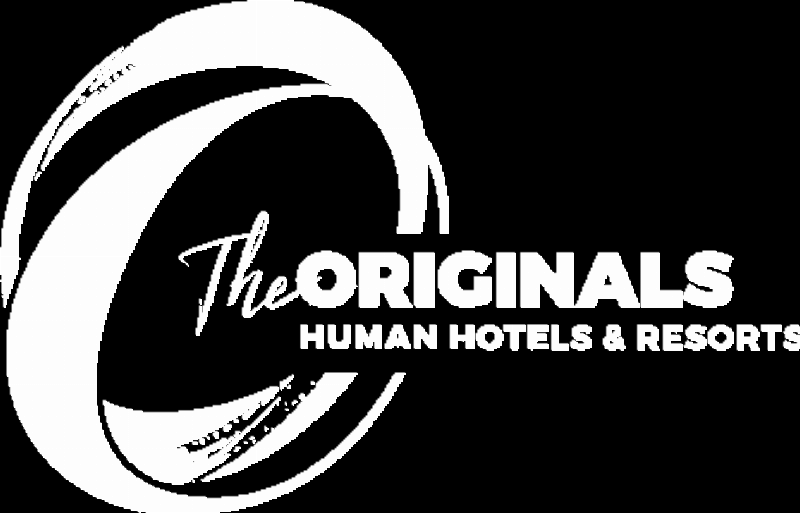 Cuisine gastronomique raffinée servie dans le cadre élégant d'un restaurant de spa belge, mettant en valeur des plats magnifiquement présentés.