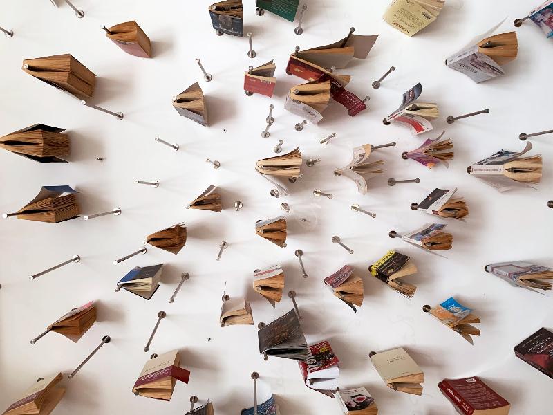 Une assiette de cuisine gastronomique raffinée servie dans un restaurant spa belge, avec des couleurs vives et des ingrédients frais.