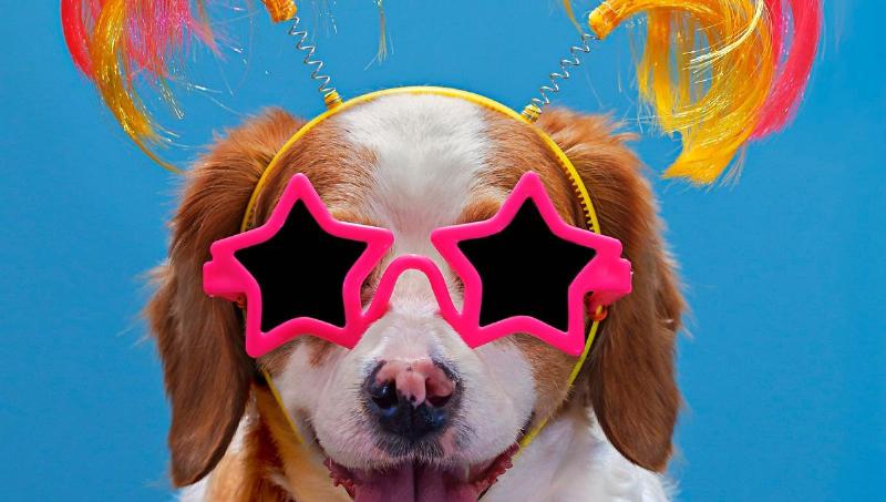 Danseurs traditionnels animés lors d'une fête de village avec musique musette en France