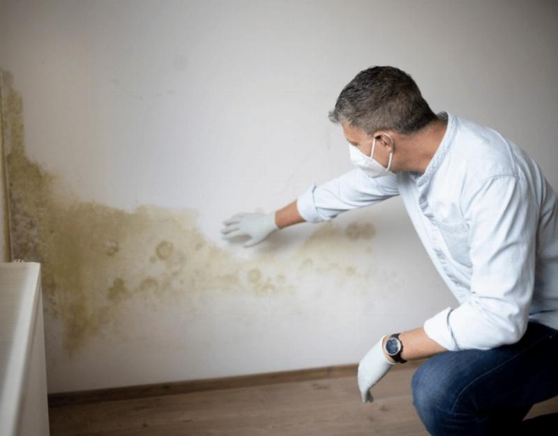 Un expert réalise un diagnostic d'humidité sur un mur d'une maison ancienne