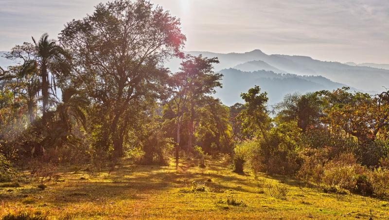 Évolution de la chanson française moderne