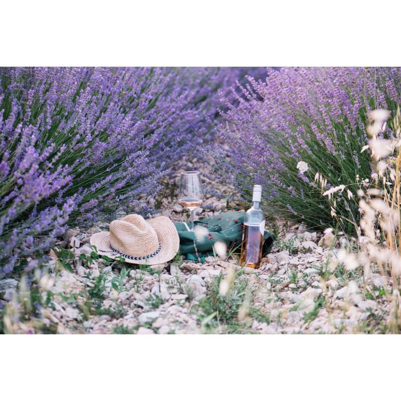 Famille pique-niquant dans un champ de lavande en Provence