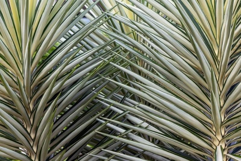 Ferme moderne en Provence intégrée dans le paysage méditerranéen